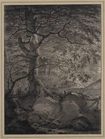W 012
<br/>
Bosgezicht
<br/>
<em>Nijmegen, Gerard van (1735-1808)</em>